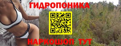 эйфоретик Бугуруслан