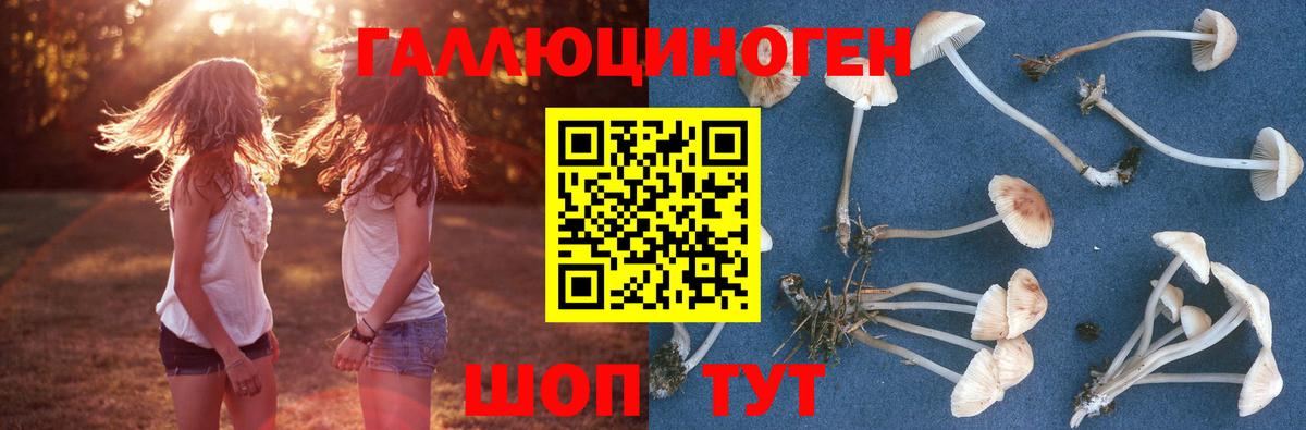 Галлюциногенные грибы GOLDEN TEACHER  Вход с VPN  даркнет сайт  Первоуральск  Псилоцибиновые грибы Magic Shrooms 